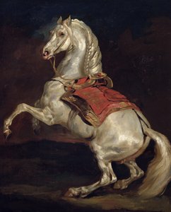 Il cavallo di Napoleone, Tamerlan